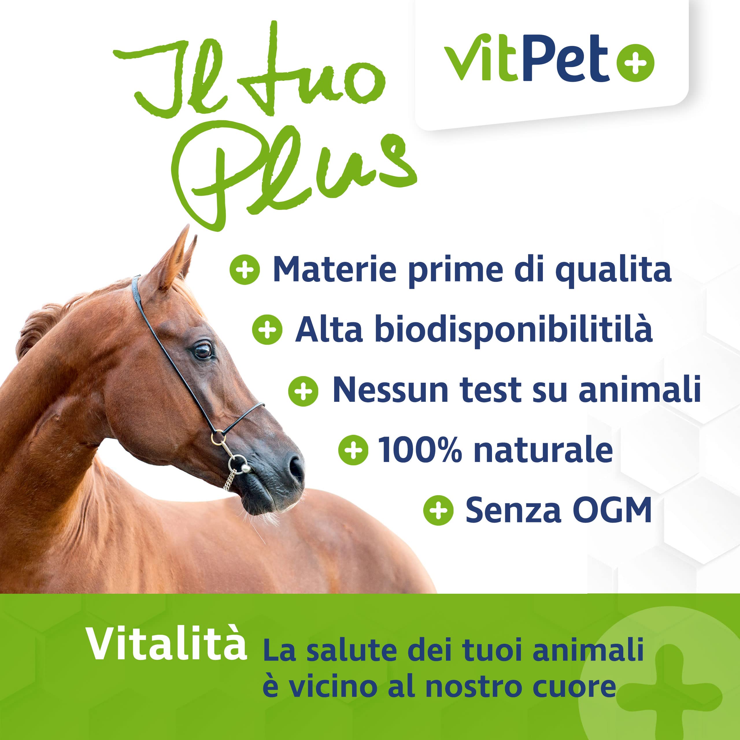 MSM polvere per cavalli - Metilsulfonilmetano polvere premium (1,8 kg)