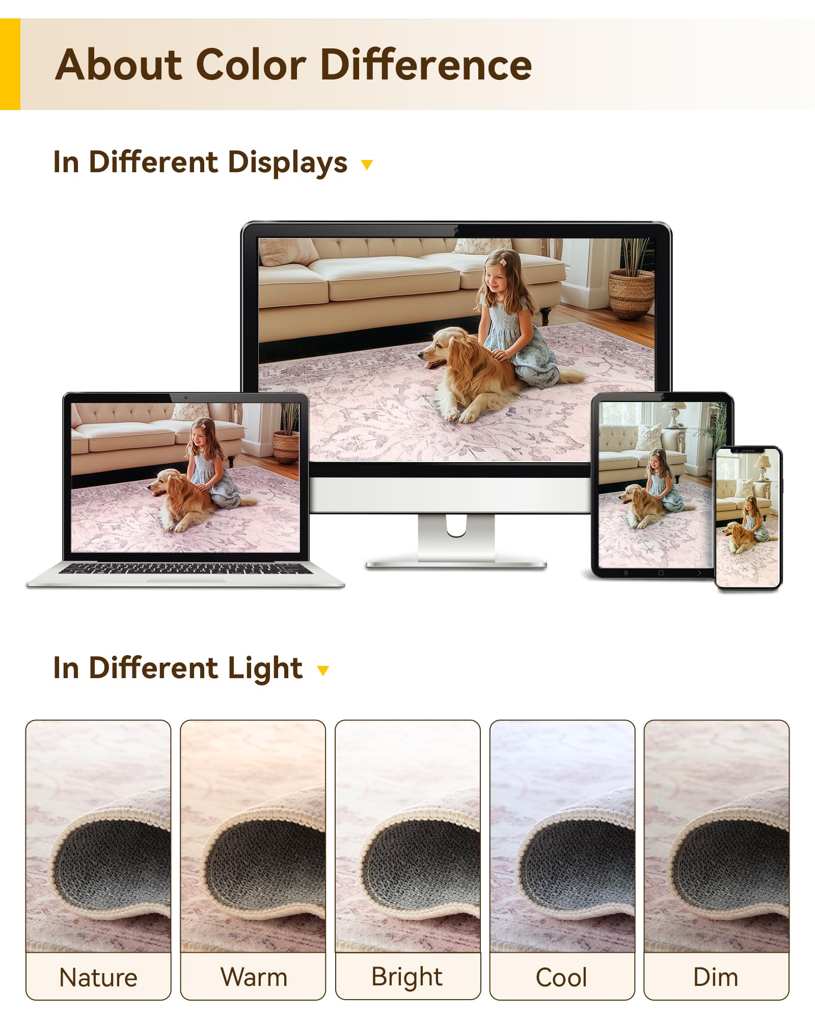 https://m.media-amazon.com/images/I/81R5dv9jR+L.jpg