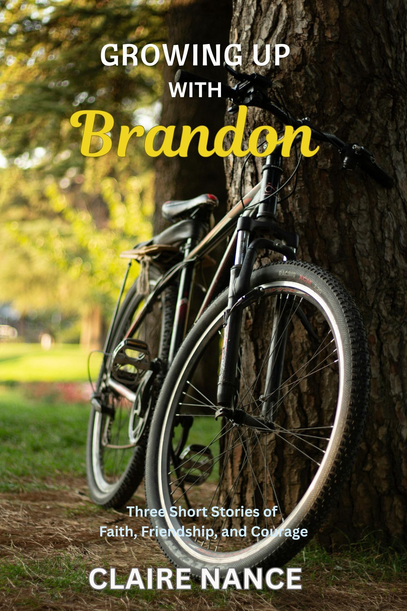 Growing Up with Brandon: Three Short Stories of Faith, Friendship, and Courage