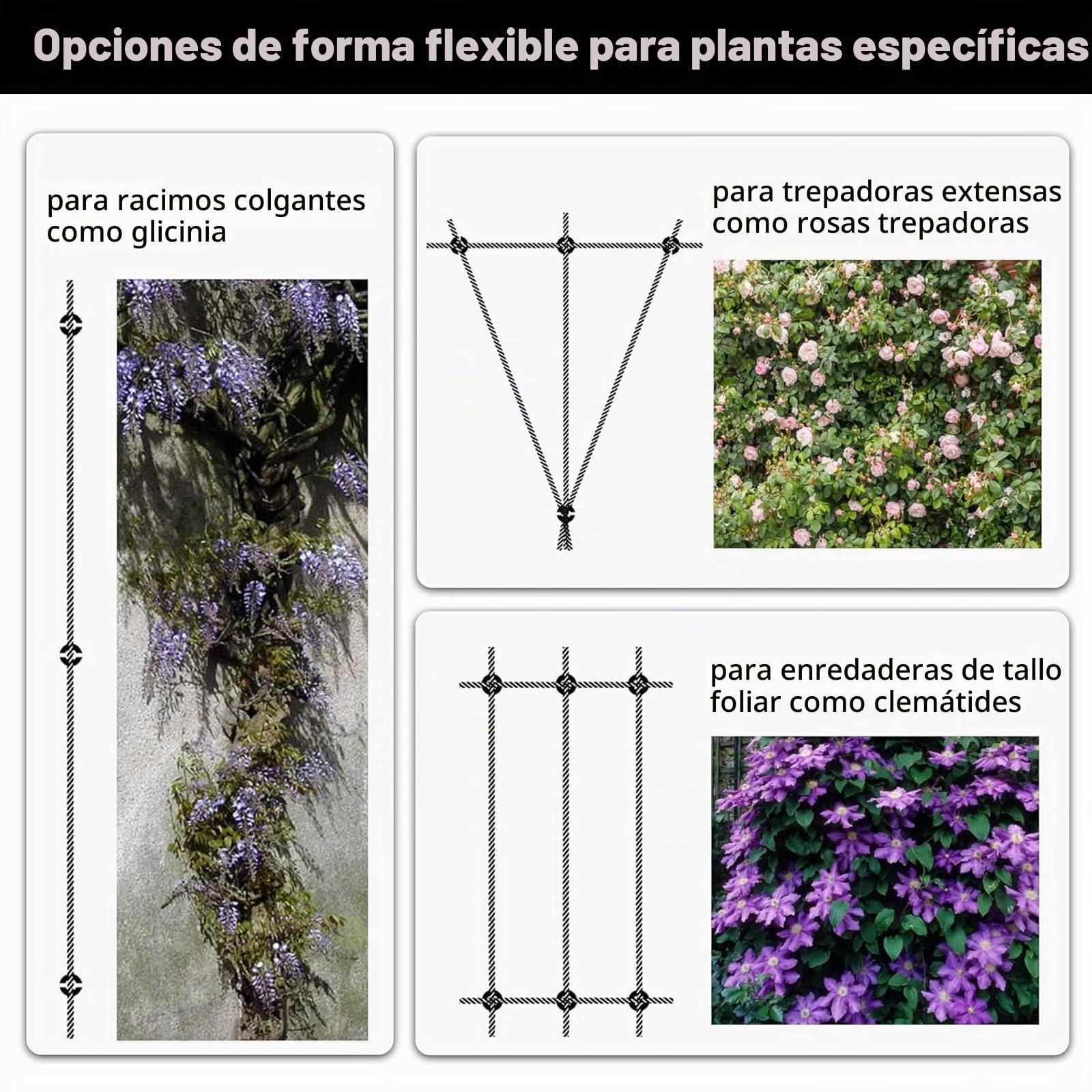Enrejado de Acero Inoxidable para Plantas trepadoras, Kit de Enrejado de Alambre de Acero Inoxidable, con Soportes de Pared y Cable de Acero de 3 mm (16 Soportes, 24 m de Cuerda)