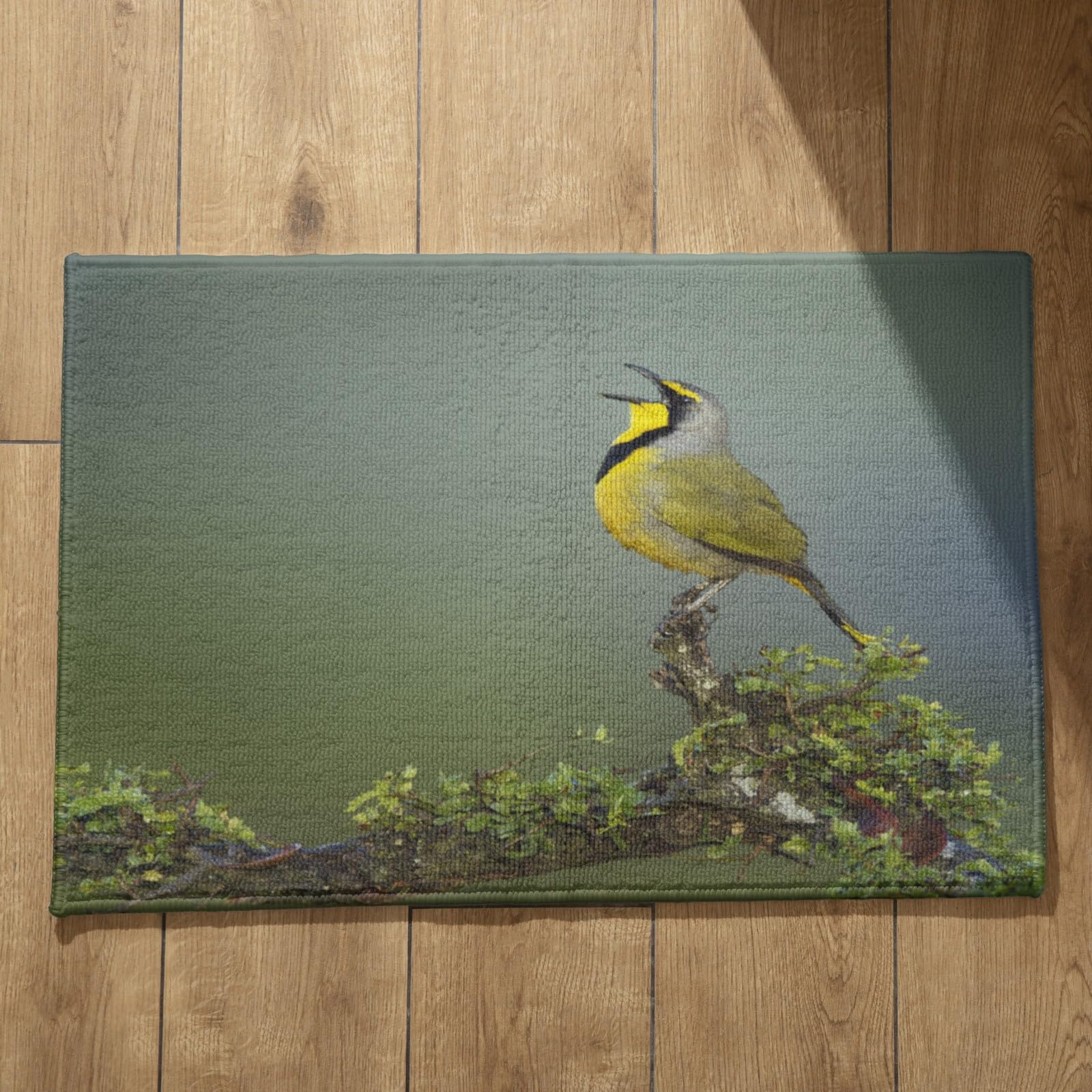 Tapis entrée XXL 45x75cm CEVAN tapis de sol camping et hall oiseau