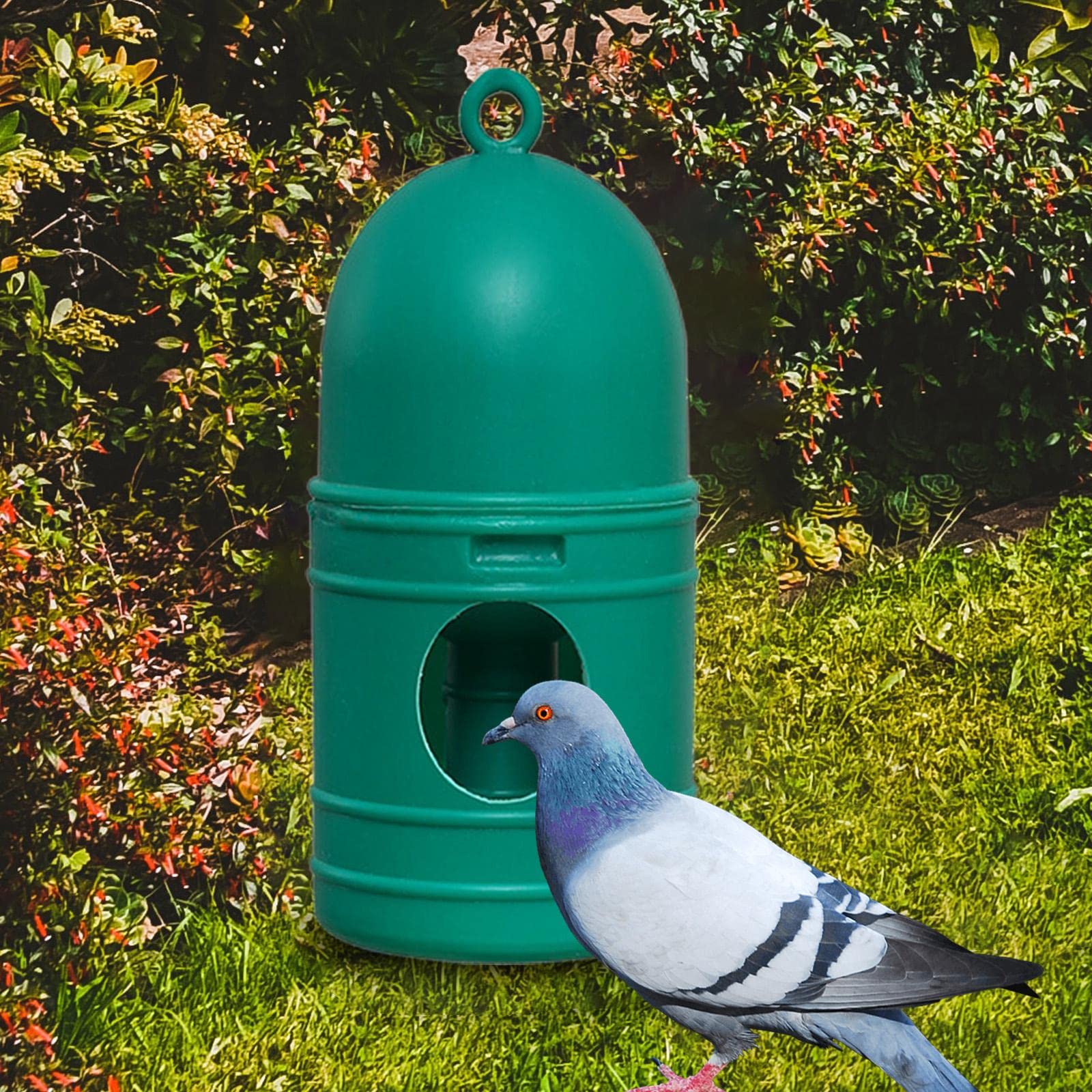 Pigeon Bird Water Dispenser with Top Handle, 1L Large Capacity Drinker, Quail Waterer Automatic Feeders, Dove Drinker Feeding Waterer System, Green