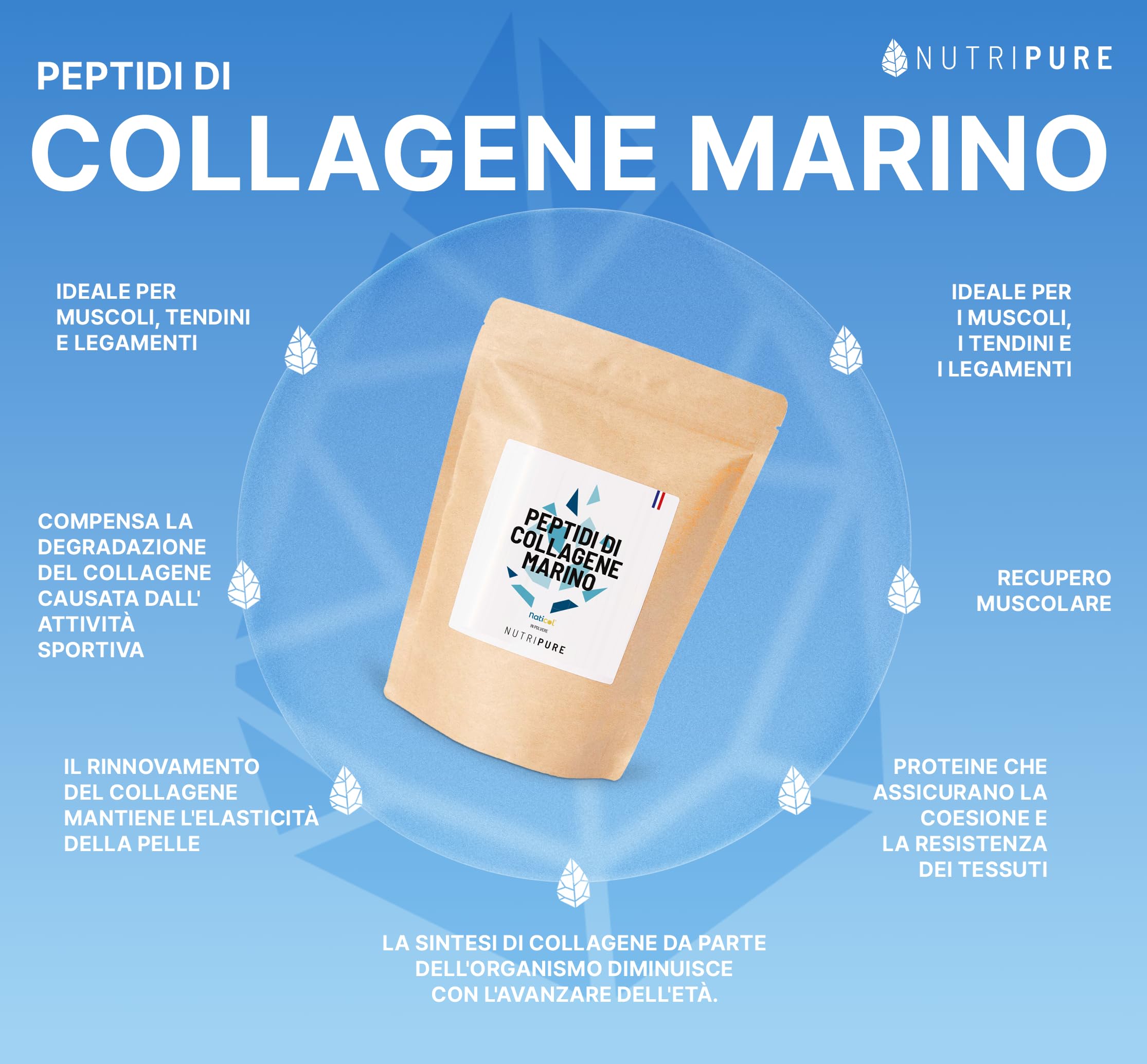 Collagene Marino Selvatico in Polvere | Integratore Alimentare Articolazioni, Capelli, Unghie e Pelle | Collagene Marino Idrolizzato | Barattolo 1,2 kg| 4 mesi | Gusto neutro | Prodotto in Francia