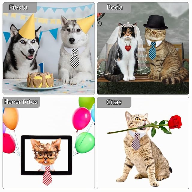 Foto 4 de 8 de 4 Piezas Pajarita de Mascotas Ajustables de Perros y Gatos Collar de Corbata Formal para Mascotas Corbatas…