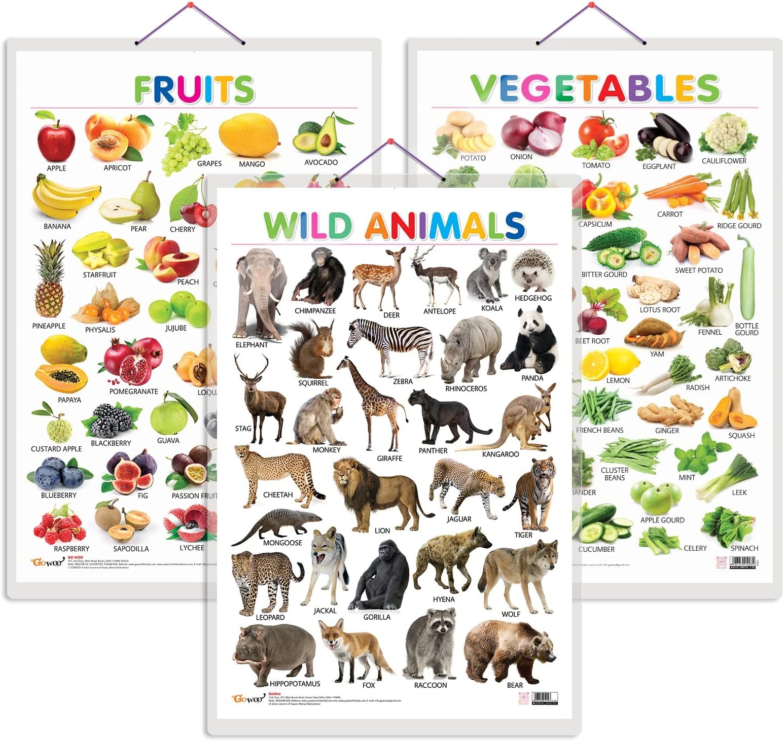 Set of 3 Fruits, Vegetables and Wild Animals Early Learning Educational Charts for Kids | 20"X30" inch |Non-Tearable and Waterproof | Double Sided Laminated | Perfect for Homeschooling, Kindergarten and Nursery Students