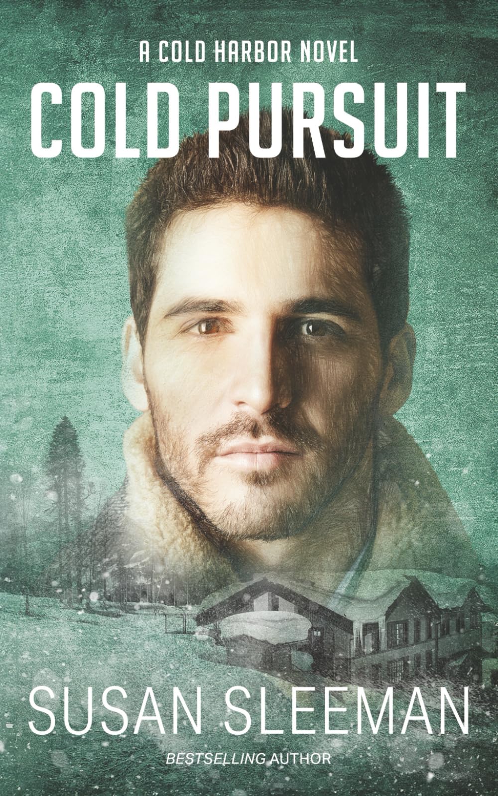 Cold Pursuit (Cold Harbor)