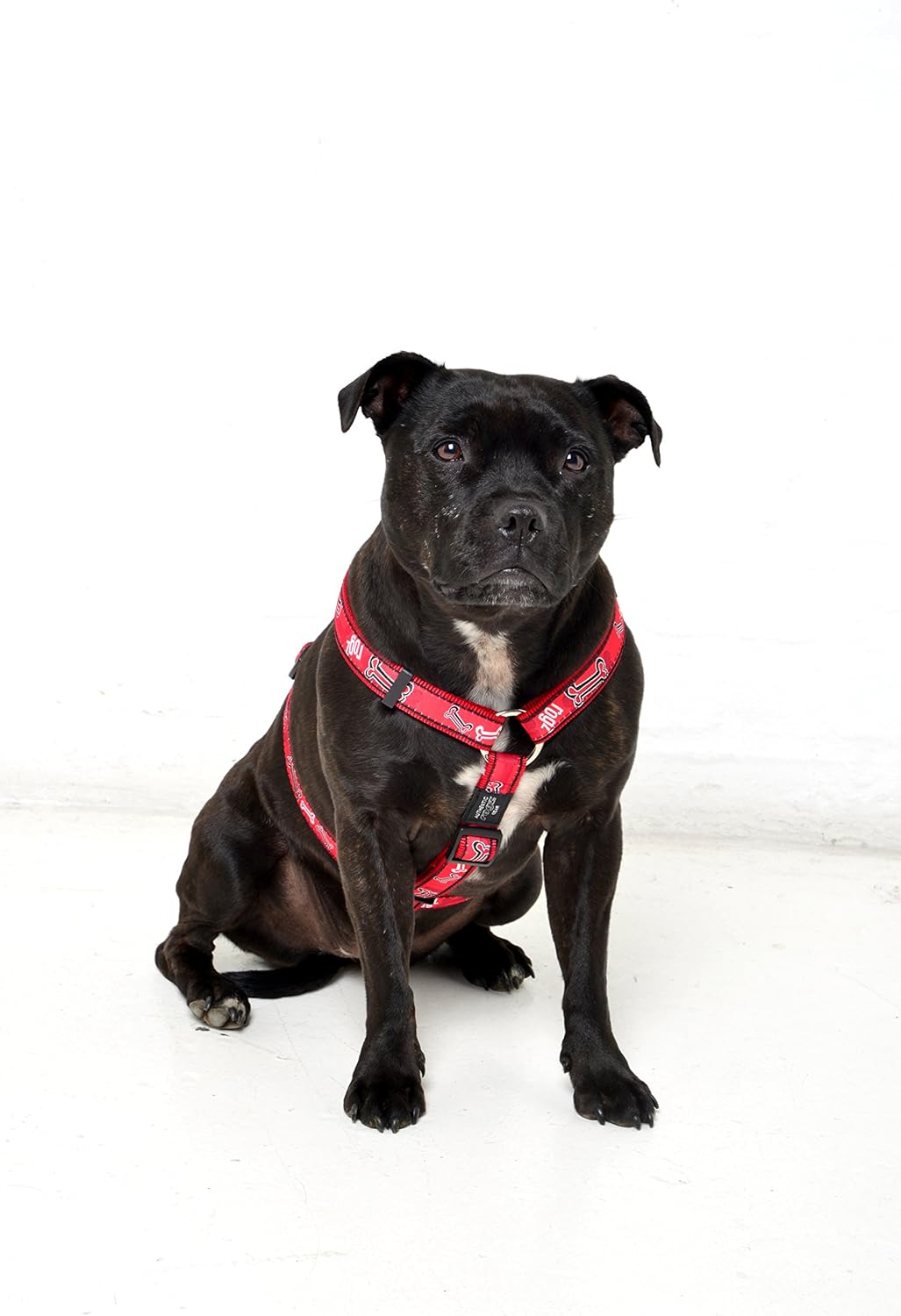 Rogz Fancy Dress Extra Large 1" Armed Response Adjustable Fashion Dog H-Harness, Red Rogz Bone Design