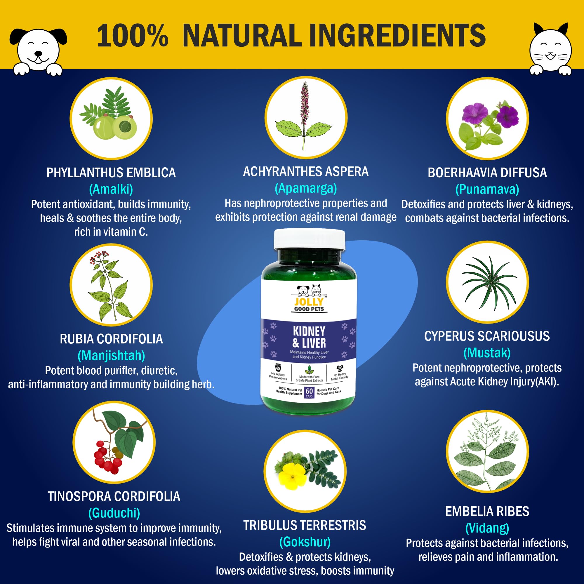 Jolly Good Pets Kidney & Liver Support Supplement for Dogs & Cats I 100% Plant-Based I Improves Hepatic Function I 60 Capsules 2
