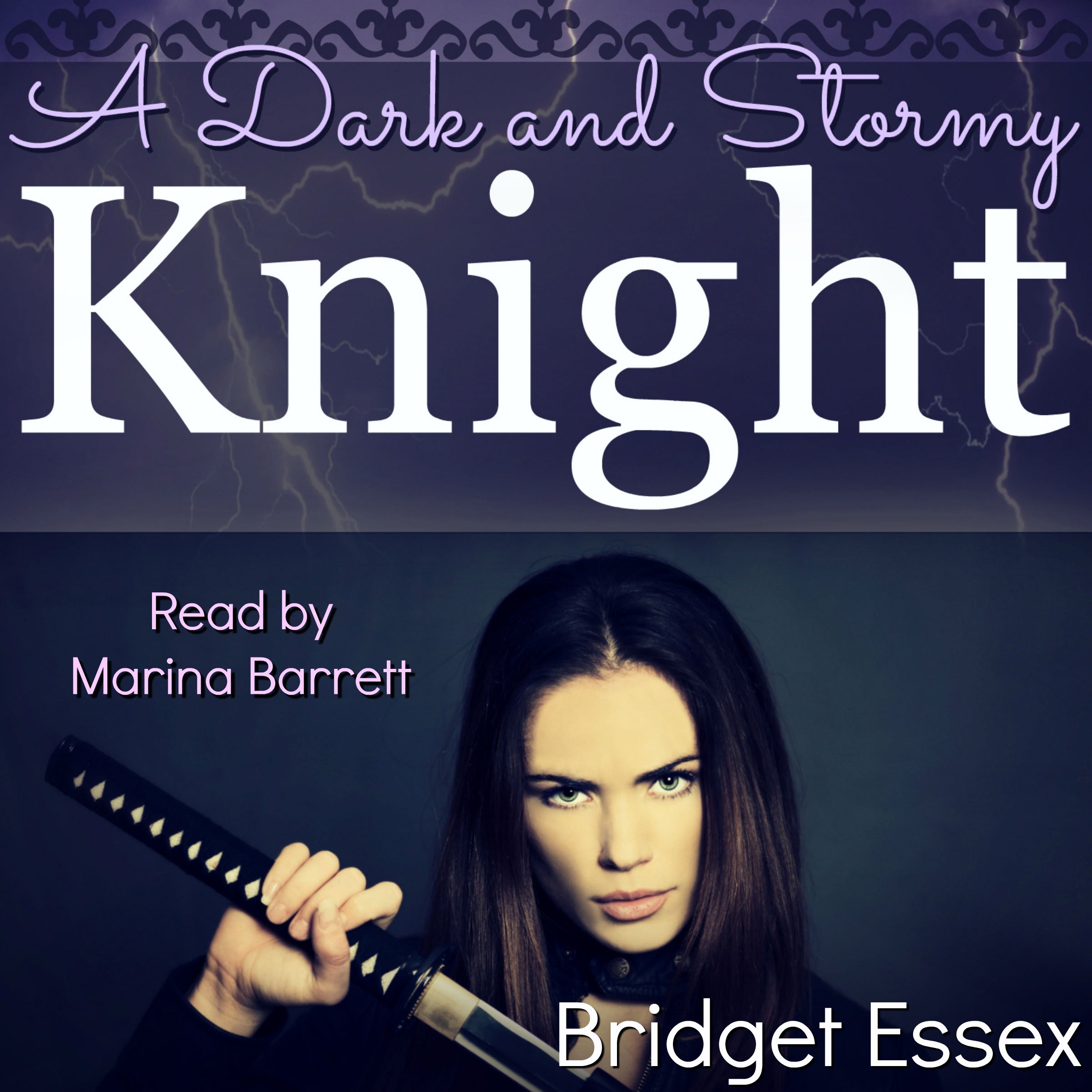 Cover art for A Dark and Stormy Knight