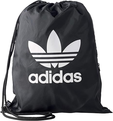 synergy laptop backpack