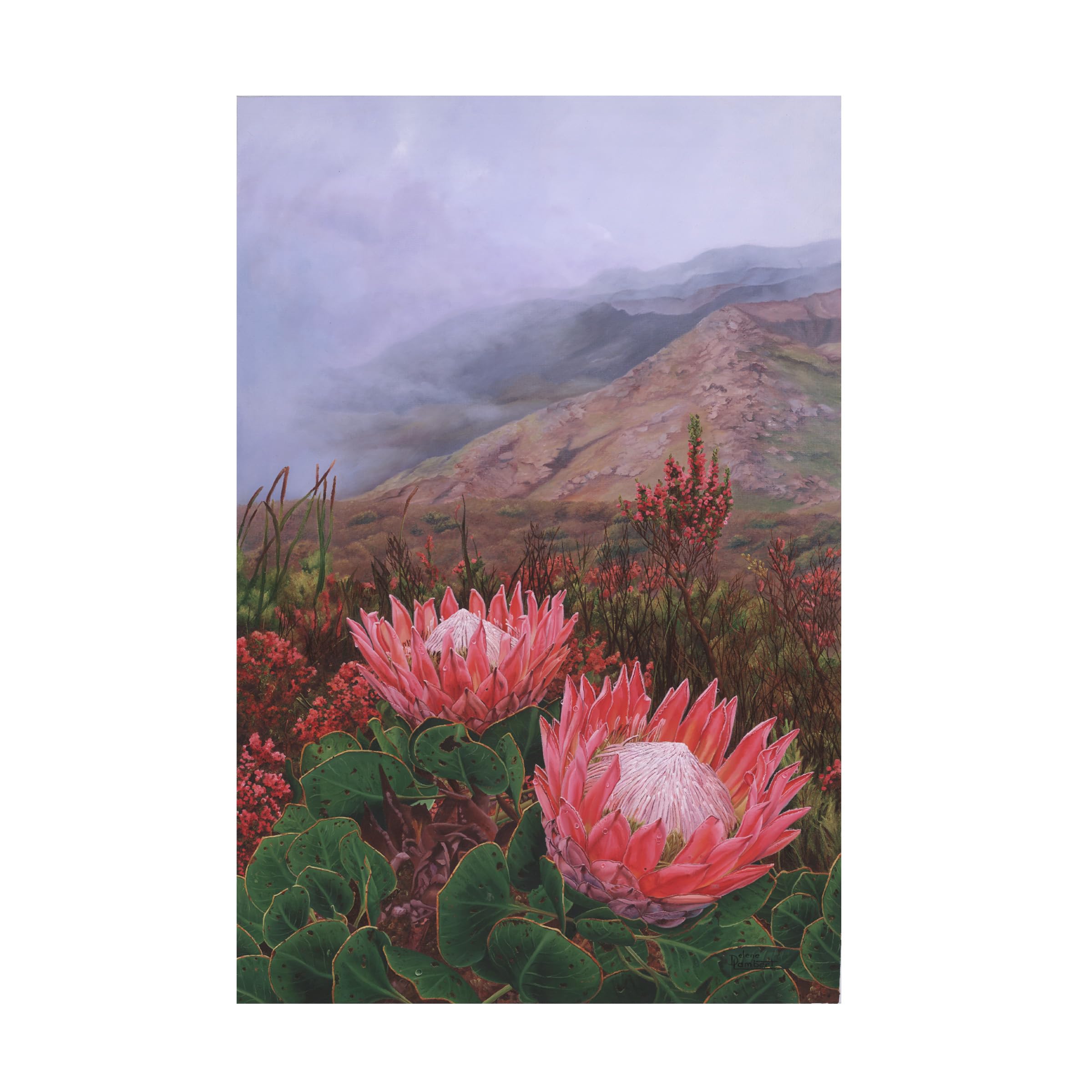 Trademark Fine Art Canvas Wall Art - Delene Lambert In the Eye of the Beholder Proteas Wall Art