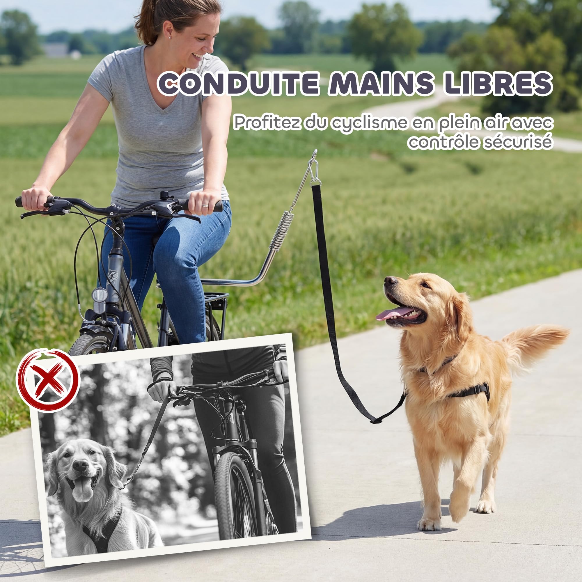 PawHut Laisse de Vélo pour Chien 180 cm en INOX, Fixation Rapide, Ressort Amortisseur, Sangle Ajustable, Vélo pour Chien Mains Libres, Laisse d'exercice pour Entraînement Jogging Cyclisme, Argent