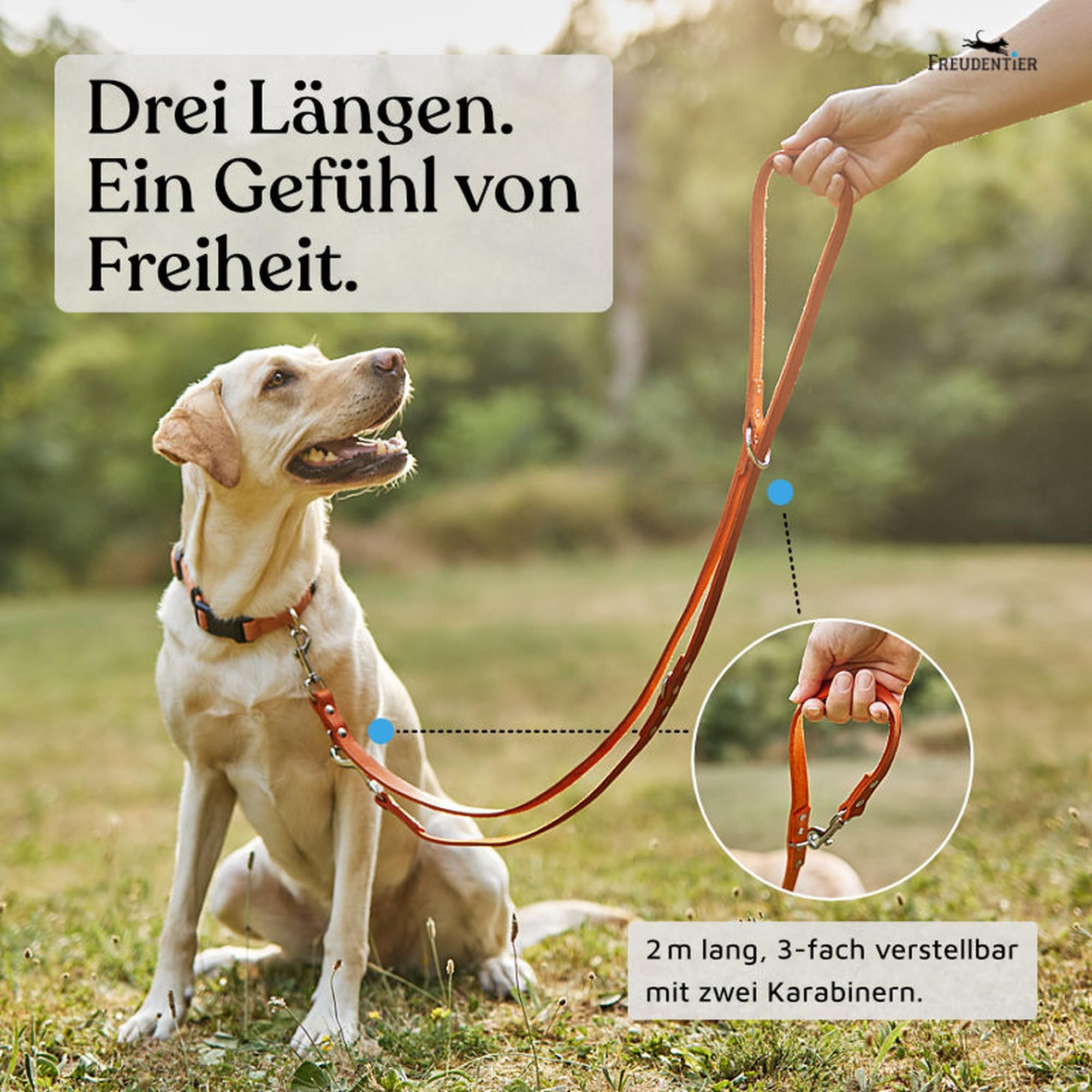 FREUDENTIER Hundeleine Leder 2m - Lederleine verstellbar - Führleine aus Fettleder für kleine, mittelgroße & große Hunde - Alsterufer Kollektion (Sunset Orange, 16mm breit)