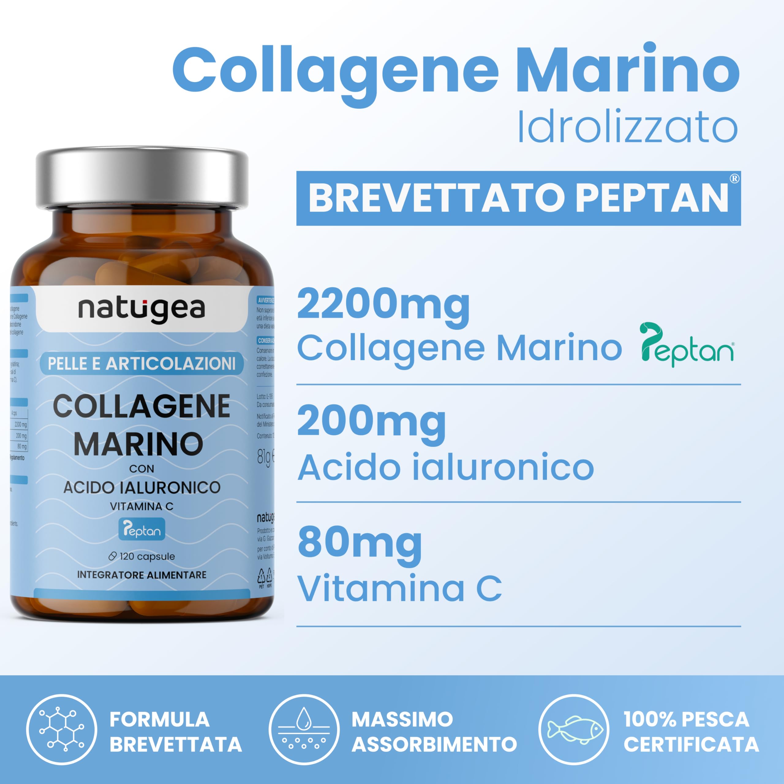 Collagene Marino con Acido Ialuronico. 2480 MG/g con PEPTAN® F HD. Collagene Idrolizzato con Vitamina C. Fino a 2 MESI di trattamento - natugea®