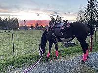 Review Image by Angel stoneburner