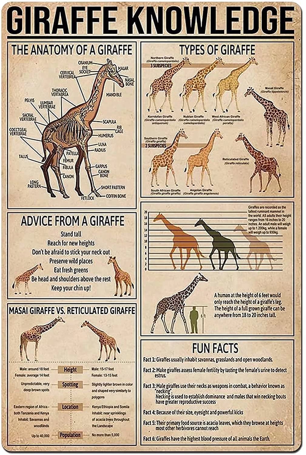giraffe Knowledge Metal Signs, Fun Poster For Bar Kitchen Cafe Farmhouse Wall Decor 12x16 inch