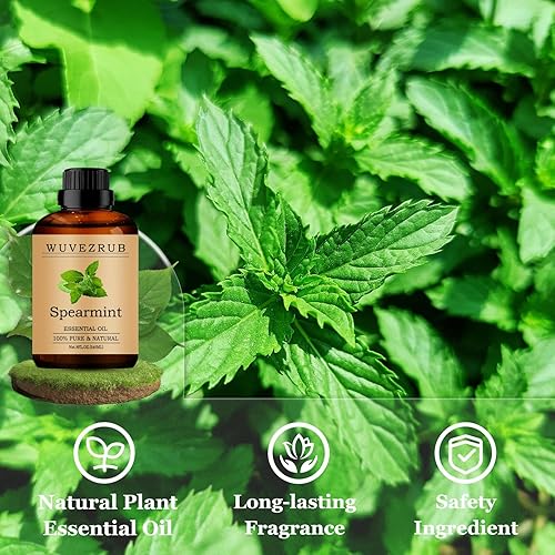 Miniatura 30 de Aceites esenciales de sándalo de 8.1 fl oz, aceite esencial puro de sándalo para difusor de aromaterapia, 8 onzas líquidas