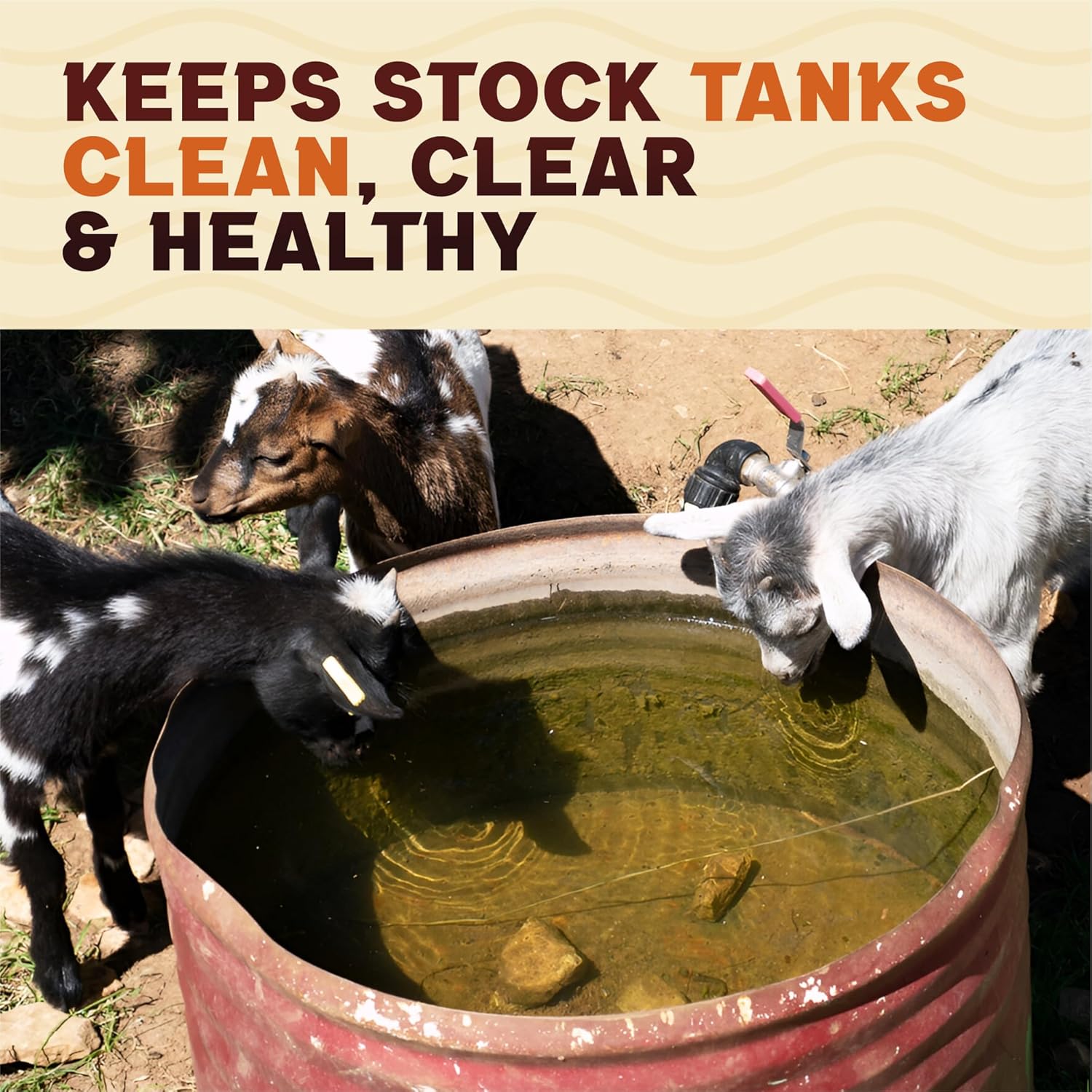 Stock Tank Clarifier - Improves Livestock Water by reducing buildup and Creating Healthier Water troughs. Safe for Horses, Cattle, Sheep, Goats & Chickens. (Tablet, 25, Count)