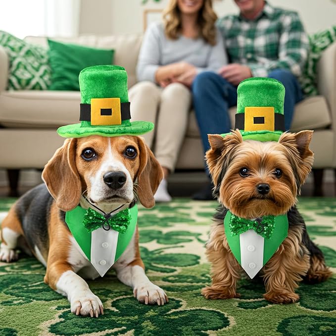 Disfraz de perro San Patricio con corbata y sombrero miniatura 5