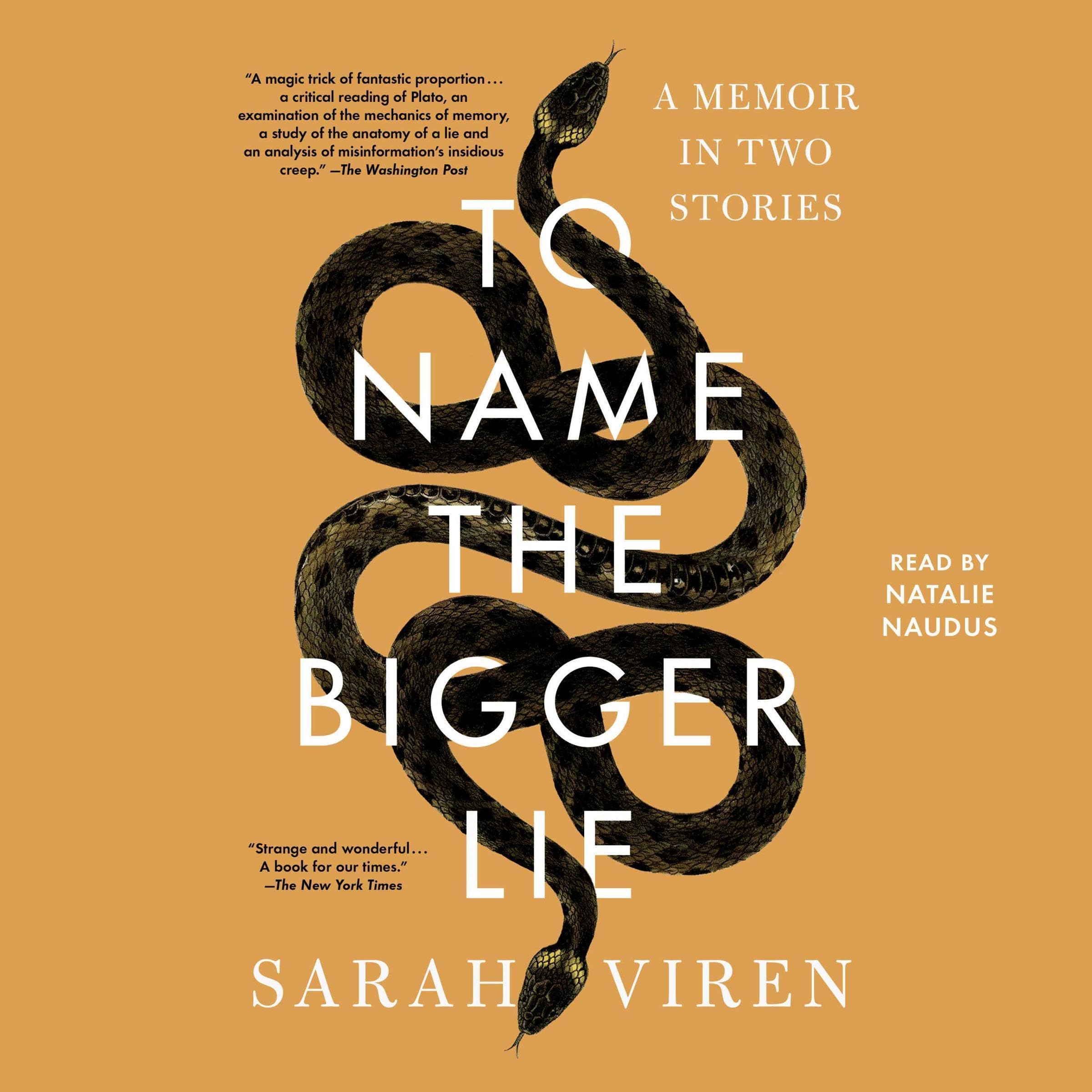 Cover art for To Name the Bigger Lie