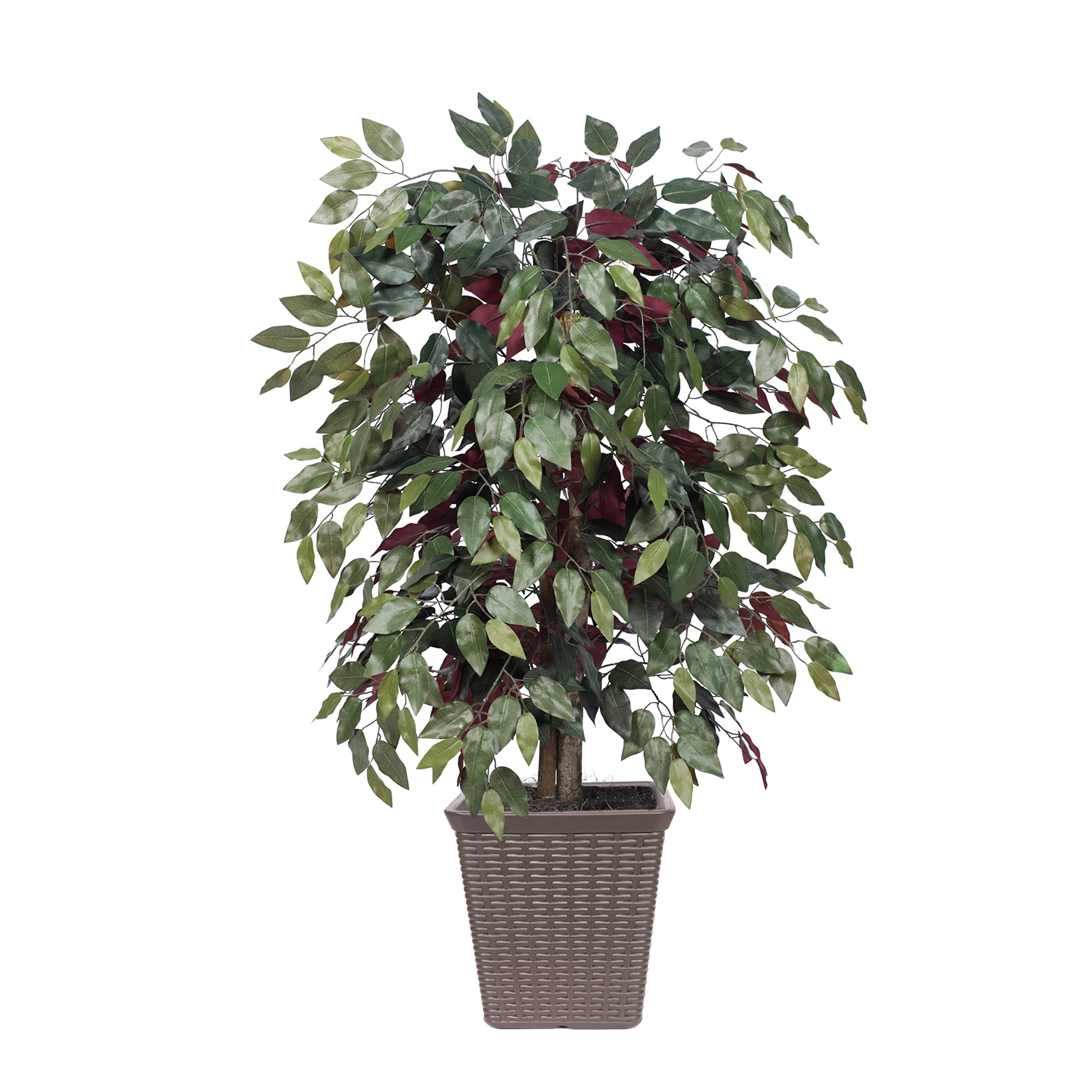 Vickerman Everyday 4' Artificial Capensia Bush in a Square Brown Plastic Basket - Lifelike Home Or Office Decor - Premium Faux Potted Plant - Maintenance Free Capensia Plant