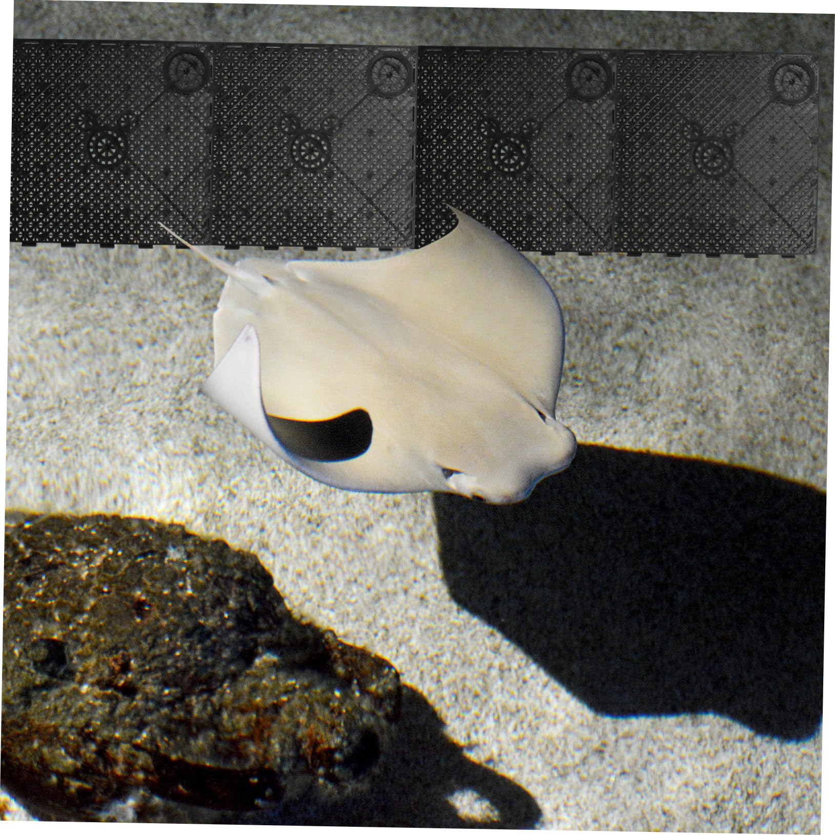 PVC Aquarium Bodenfilterplatte 20 Stück Robustes PVC Spleißbare Filterplatten Für Effiziente Wasserfiltration Im Fischtank Für Drachenfische Und Meerwasser Aquarien