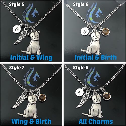 Vista 3 de Collar personalizado de Pitbull inicial y piedra natal opcional Memorial de Pitty Dog Regalo de Pit Bull