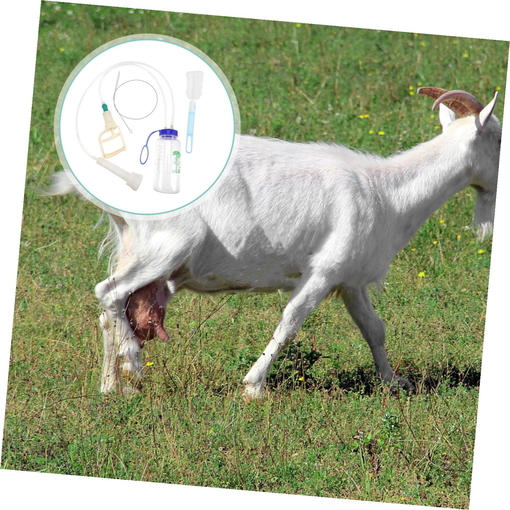 Macchina la Mungitura Manuale di Pecore e Mucche, Accessorio per Mucca Portatile in Plastica Resistente, Forniture Agricole Compatte per Allevamenti da Latte e Fattorie