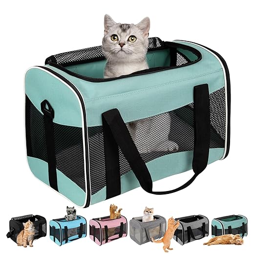 Cat Carrying Case Pet Dog Carrier Soft-Sided Cat Bag Airline Approved, Pet Travel Carrier Up to 15 Lbs, Collapsible Cats Carrier Dog Carrier for Medium Small Cats Dogs(17x11x11 Green)