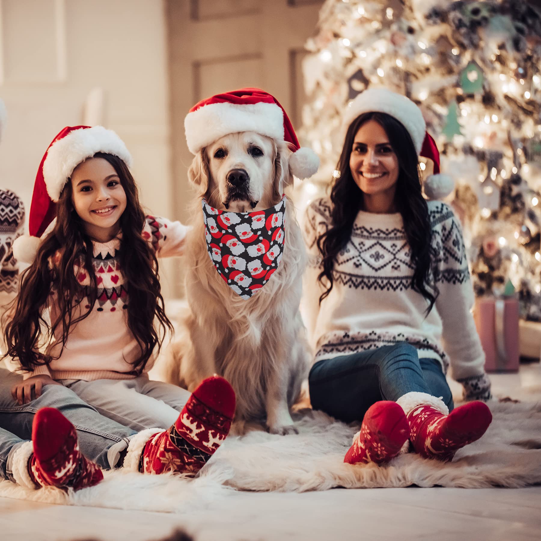 Amazon | クリスマス 犬用バンダナ 2パック | PTDECOR | バンダナ 通販