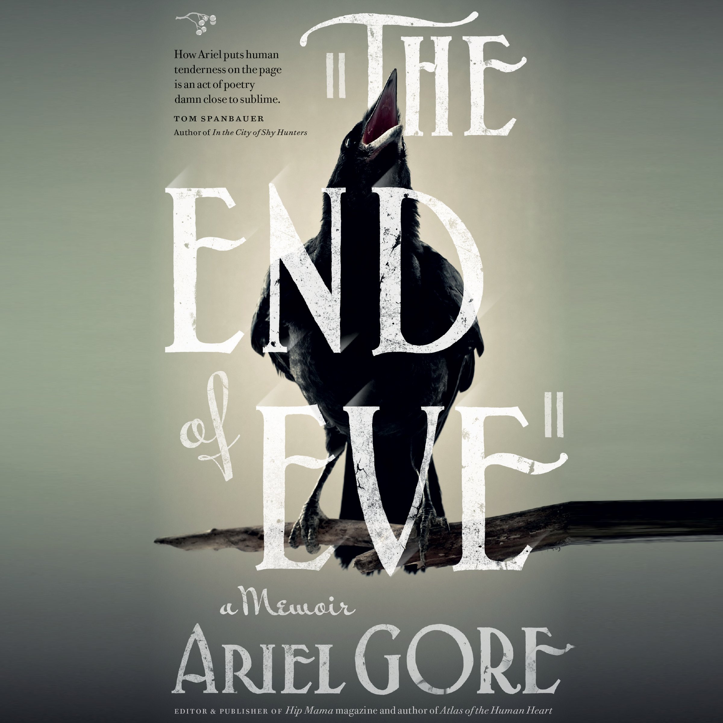 Cover art for The End of Eve
