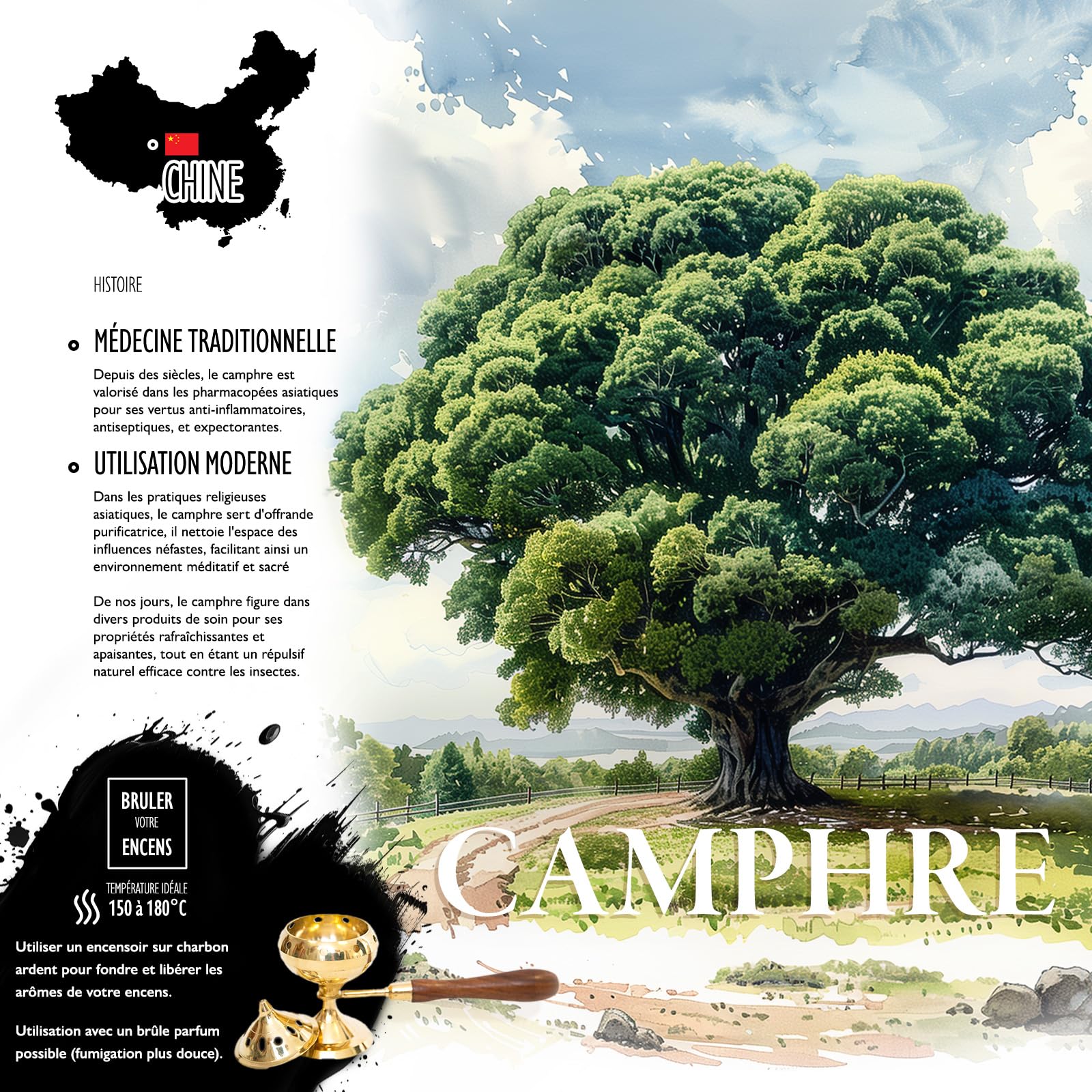 Encens Camphre résine 100% Naturel en Grain 50gr pour Fumigation Protection des lieux