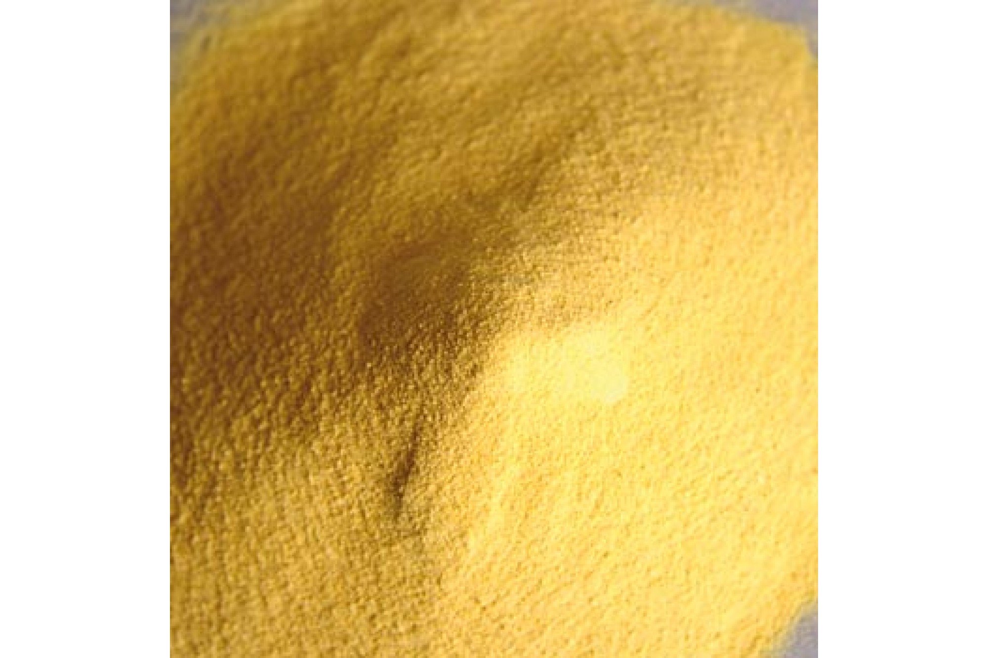 Fruchtpulver Aprikose, sprühgetrocknet, mit Maltodextrin, 1 kg