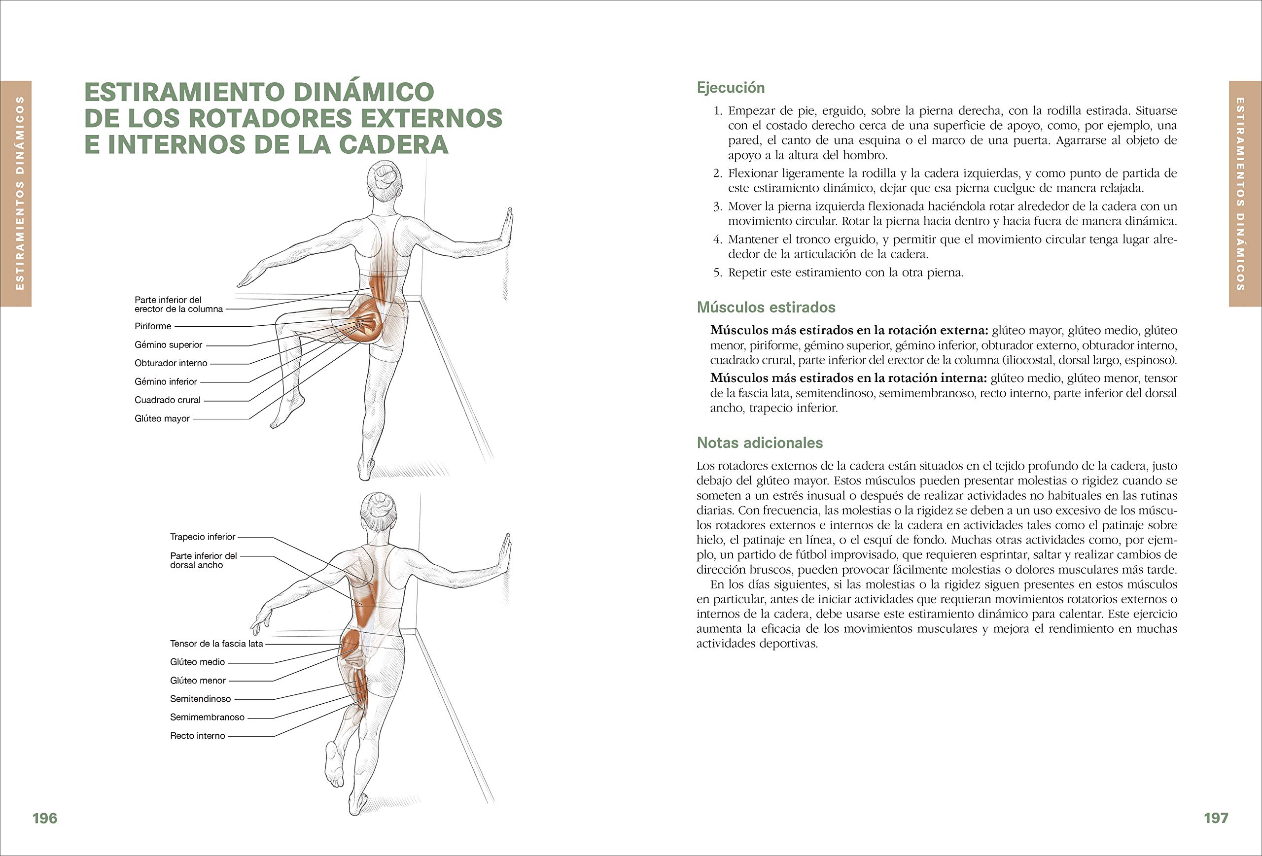 Anatomía de los estiramientos: Guía ilustrada para mejorar la flexibilidad y la fuerza muscular (SIN COLECCION)