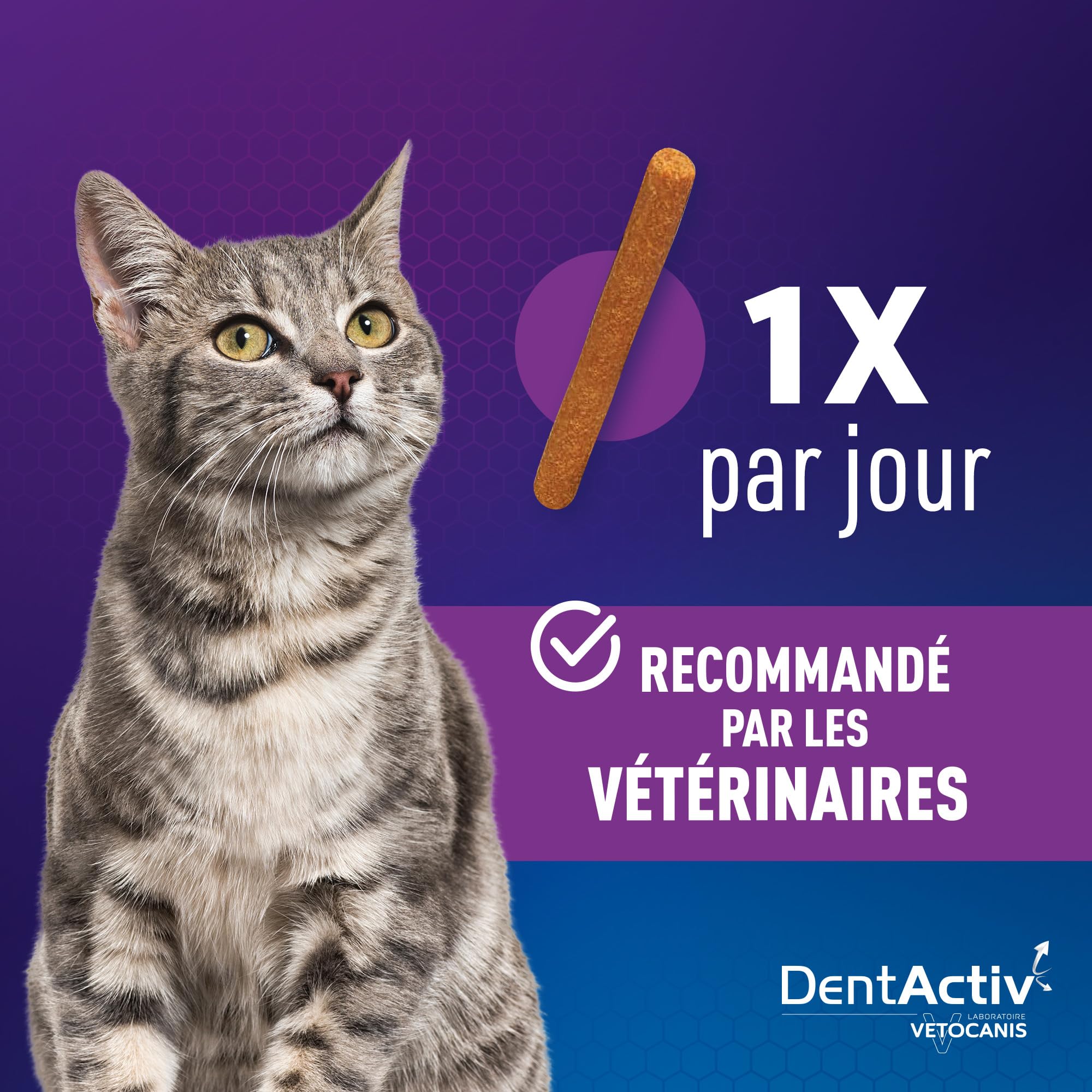 Vetocanis - Dentactiv - Stick Dentaire - Friandises pour Chat Gourmandes - Hygiène et Santé du Chat - Riche en Viande - 85% de Poulet - Système Anti-Plaque