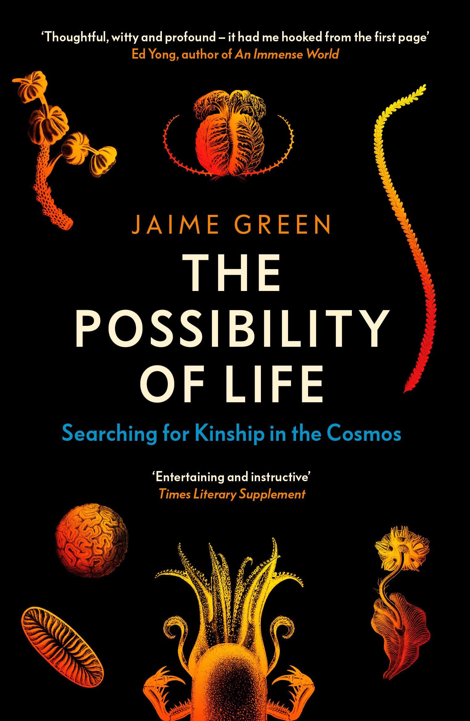 The Possibility of Life by Jaime Green PAPERBACK 9780715655191
