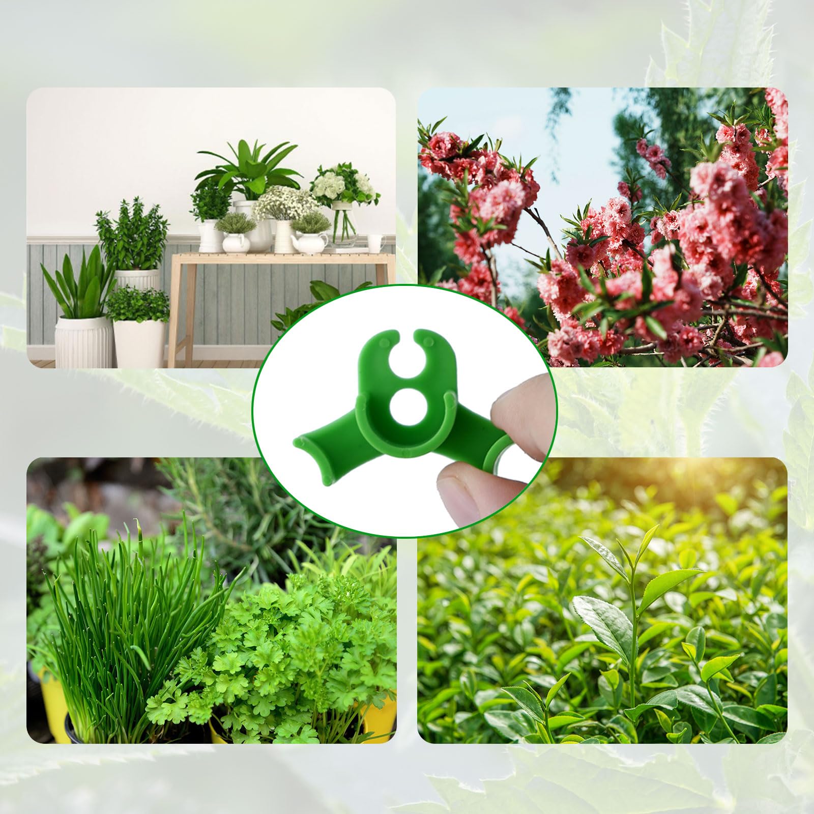 ACCESSORI PIEGATRICE PIANTE Per Allenamento Basso Stress Pianta Frutta