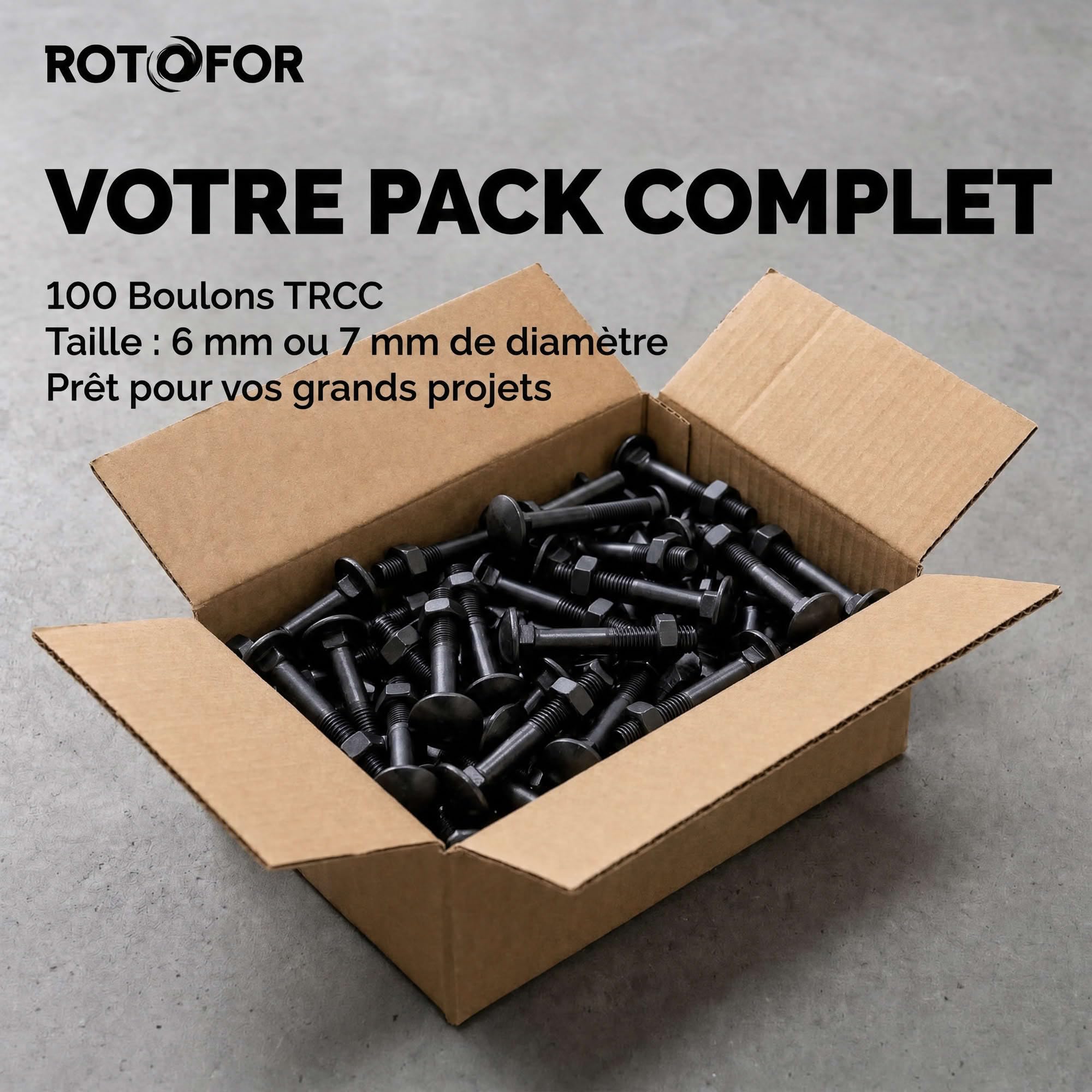 100 Vis tête ronde collet carré zingués Noir - longueur 70 mm