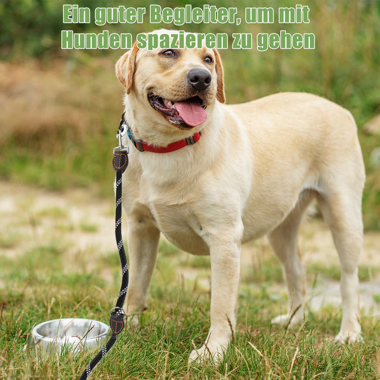 Guinzaglio per cani di taglia grande e media – Doppio guinzaglio regolabile in nylon con 2 moschettoni e 3 anelli – 3 m x 15 mm – nero