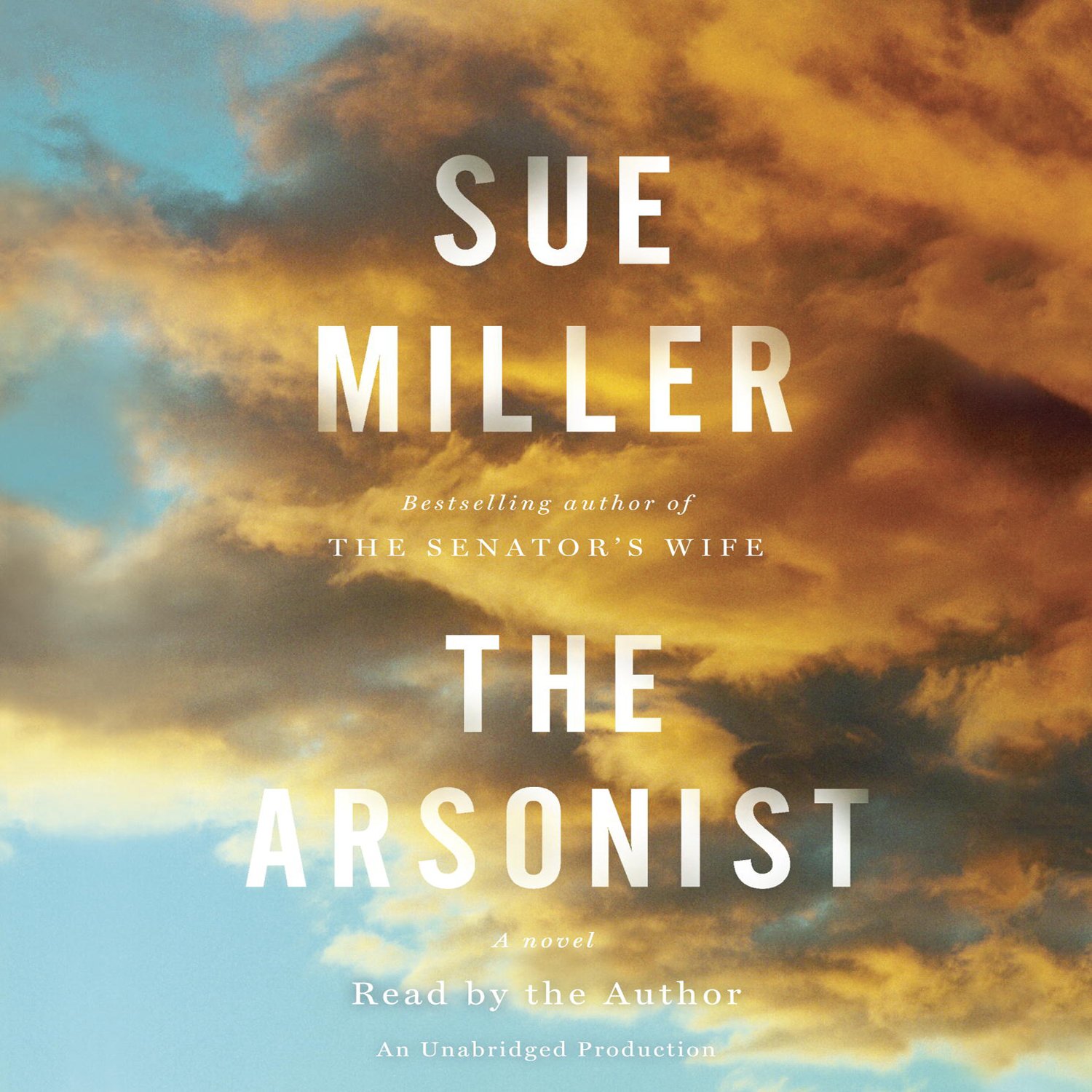Cover art for The Arsonist