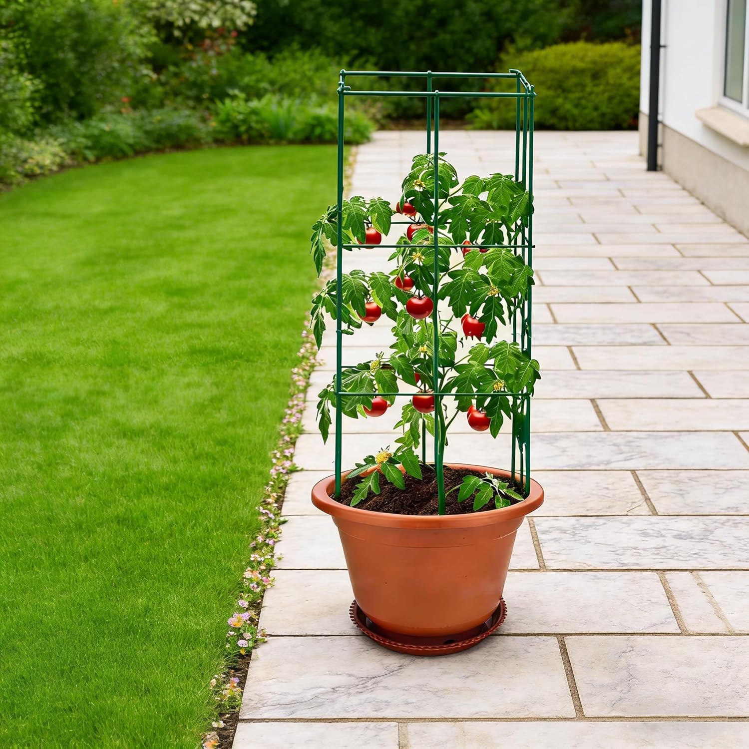 2 Pack 12x39 Inch High Green Folding Square Tomato Cages, Tall Plant Support Tomato Trellis Metal Plant Peony Cage