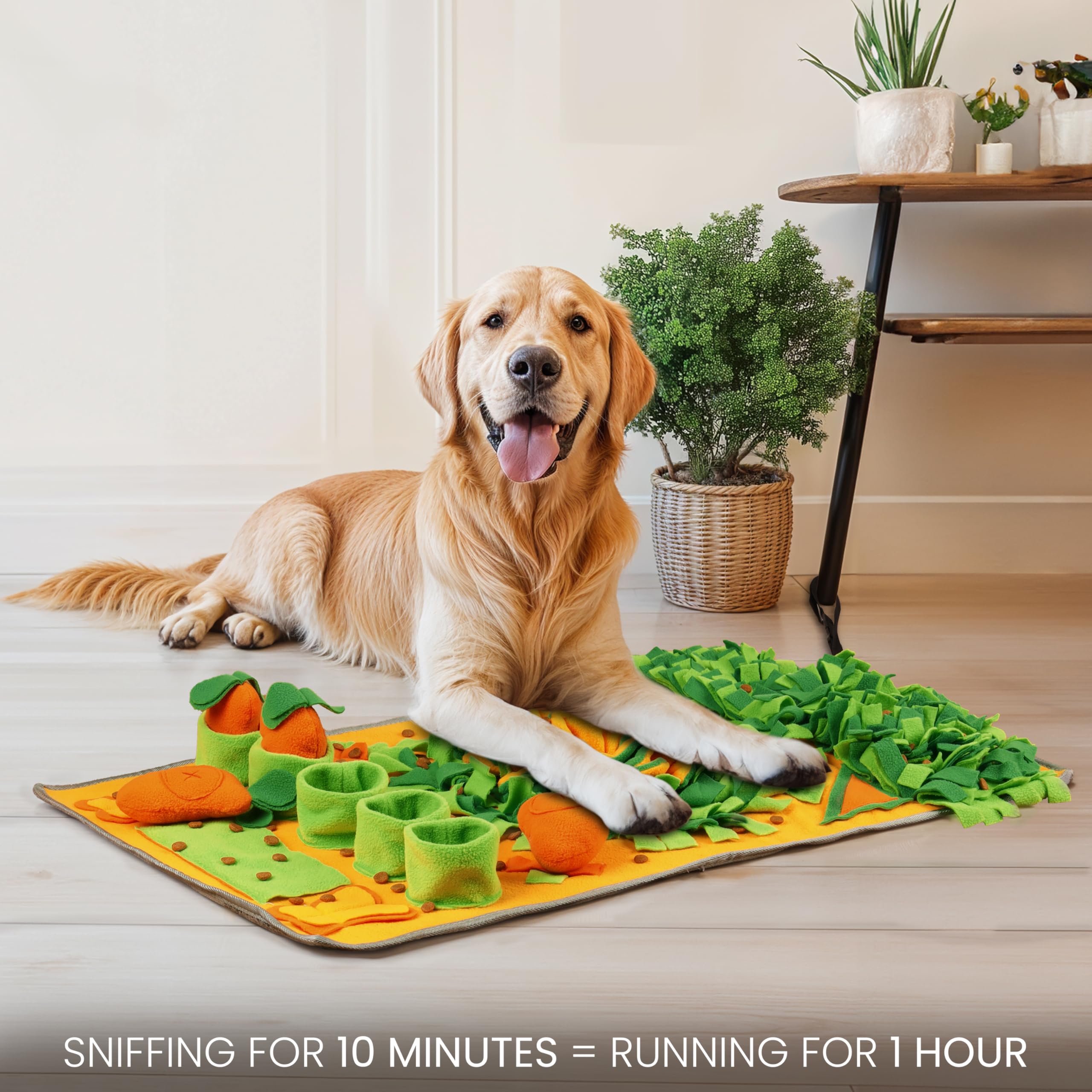 Belle Vous Tappeto Olfattivo per Cane - Tappetino Interattivo con Giochi di Intelligenza - Gioco Interattivo per Cani Grandi e Piccoli - Supporto da Gioco e Alimentazione