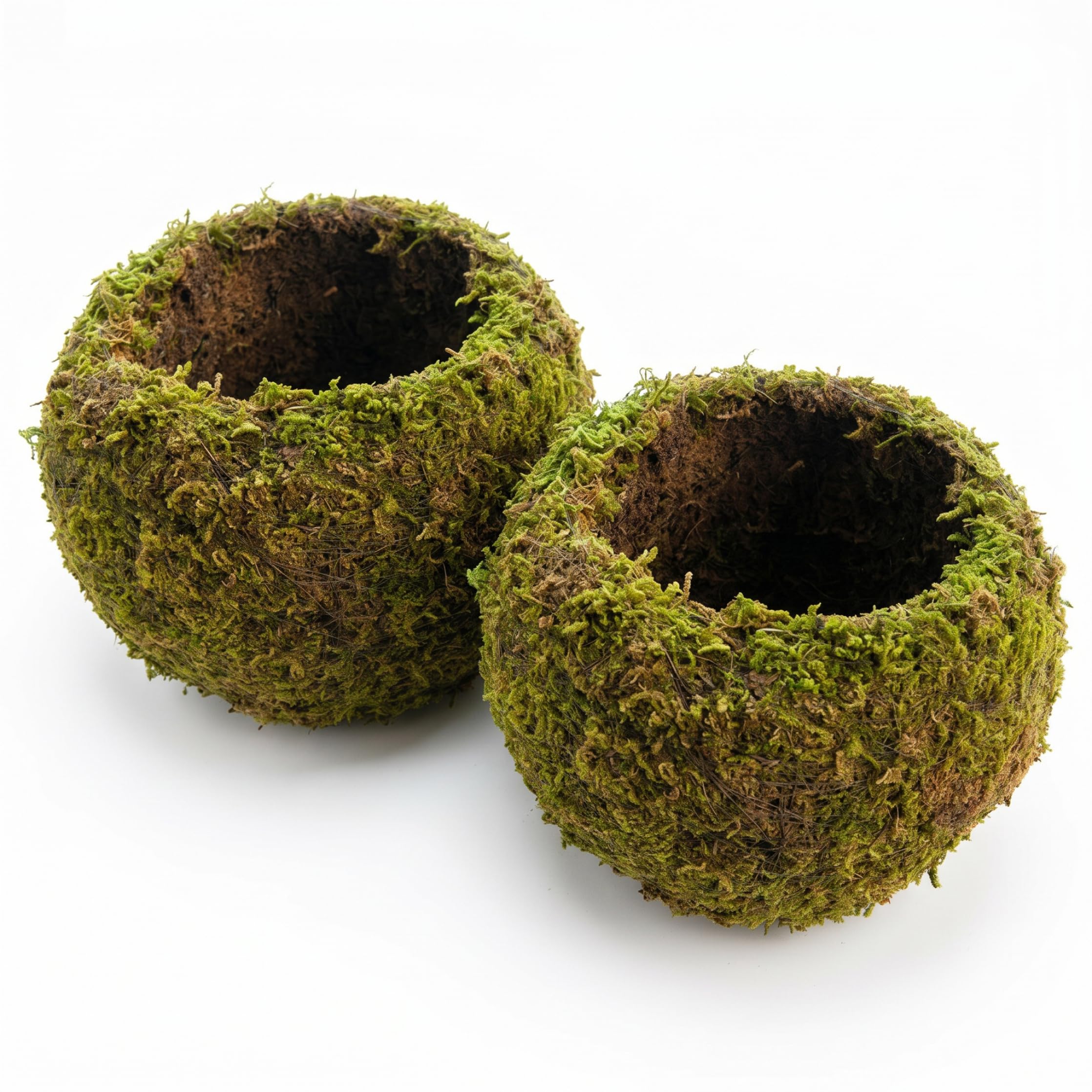 Jardinière Mousse Respirante Pot Bonsaï Balcon Bureau Boule 8 Pouces