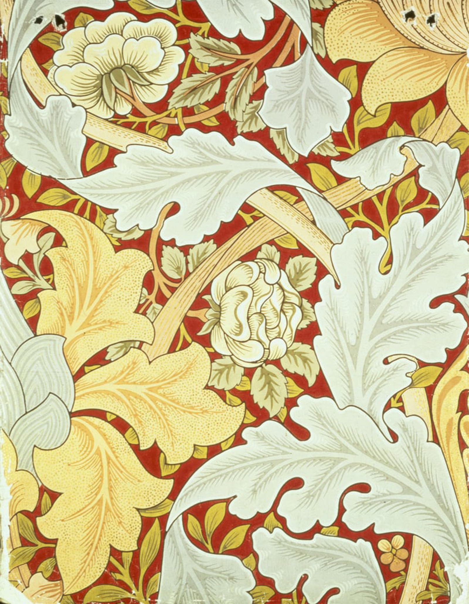 Cuadro de lienzo William Morris con rosas silvestres, pintura elegante de 60x90cm 5