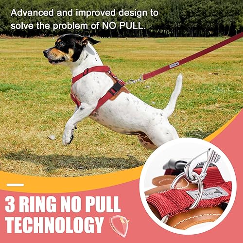 Miniatura 3 de Elegante juego de arnés y correa para perro, arnés de cuero sin tirones para perro con mango extraíble de fácil control, arnés de chaleco ajustable