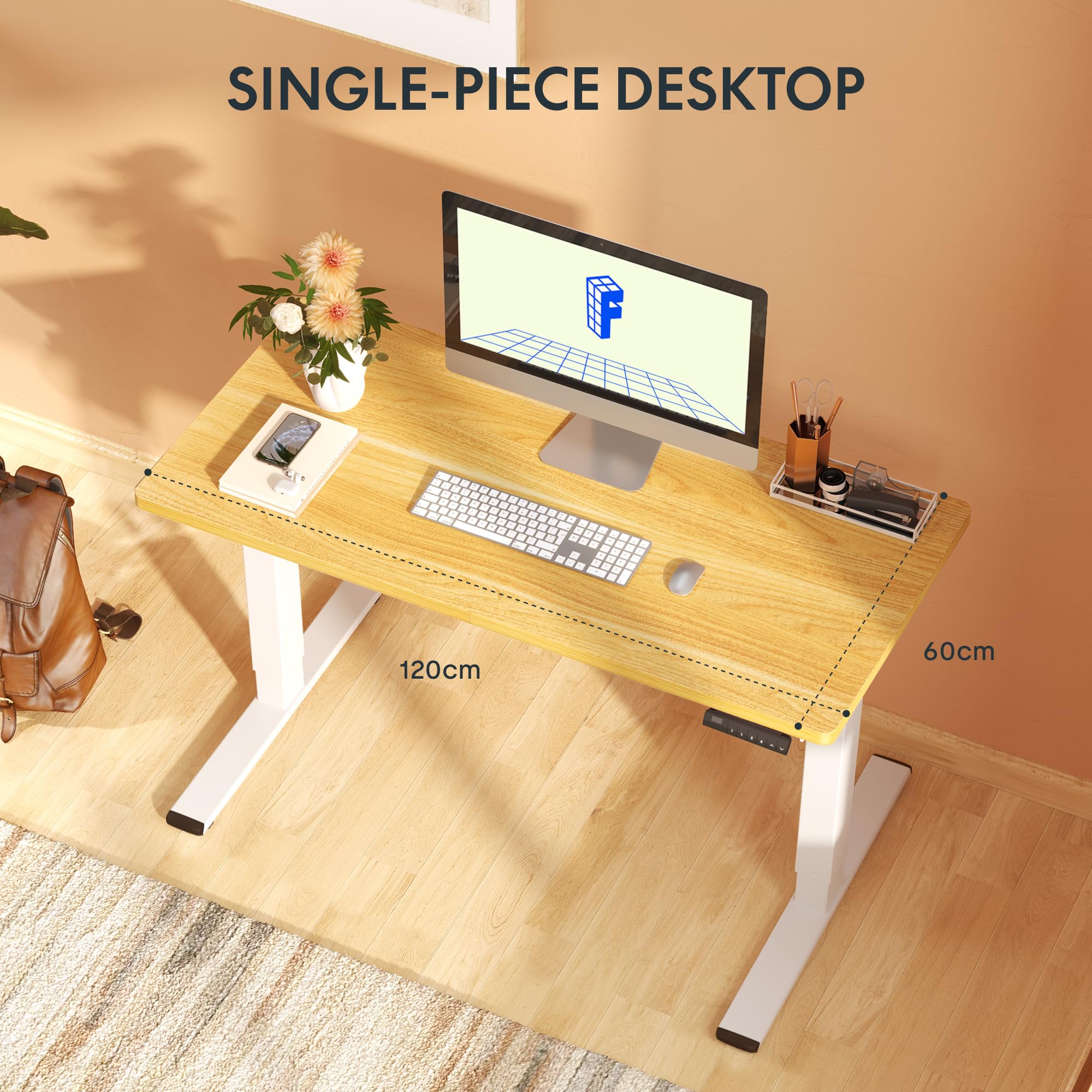 FLEXISPOT Scrivania Regolabile in Altezza 120x60 cm, 2 Motori, Piano Unico 25 mm, Memoria & Display Altezza, Ergonomica con Gestione Cavi, Ripiano Sottoscrivania, Ganci e Clip Fermacavi