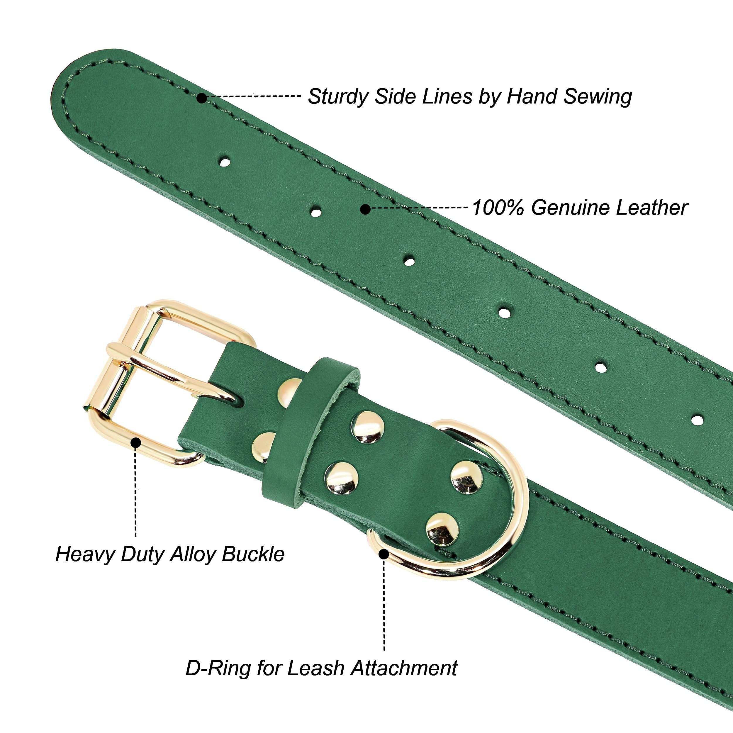 Beirui Hundehalsband Aus Echtem Leder – Personalisierbar Mit Gravur, Weich Gepolstert, Für Kleine Bis Große Hunde