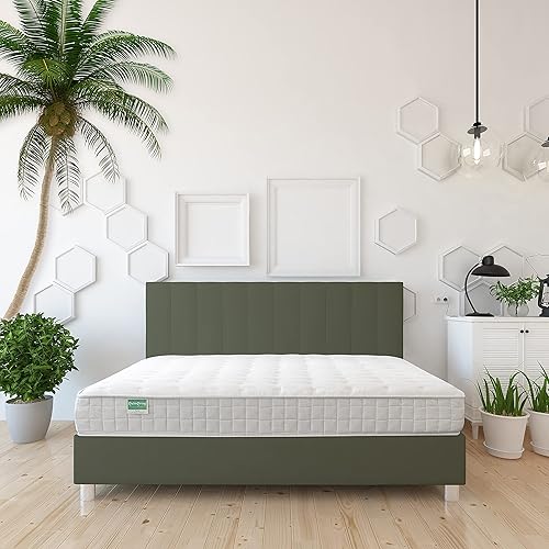 NATURAL LIFE PALMPRING Colva - Colchón individual  Látex orgánico coco coco Coir 10 pulgadas firme 4 capas cómodo cama para dormir libre de polvo