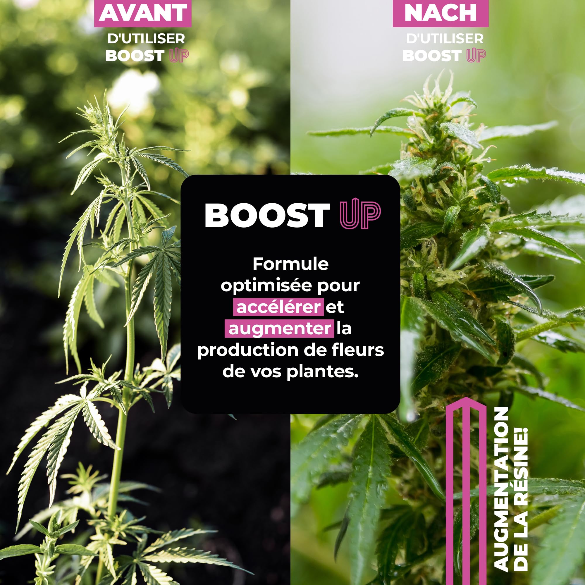 UP NUTRIENTS Bio Engrais Stimulateur de Floraison BOOST UP 1L | Bio Stimulateur pour Plantes et Cultures | Accélérateur de Production Florale | Fleurs et Fruits Compacts et Résineux
