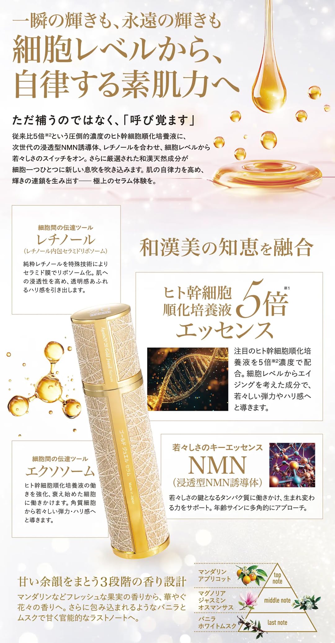 Amazon | 日本メディカルシステム アゲインナンバー20 ゴールド